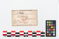 Etikett zu Bronzebrillenfibel (NHMW-PRAE-025663)